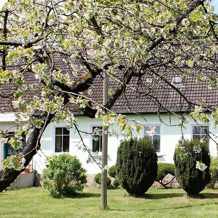 Pension Gestuet Lindenhof Templin Exteriér fotografie