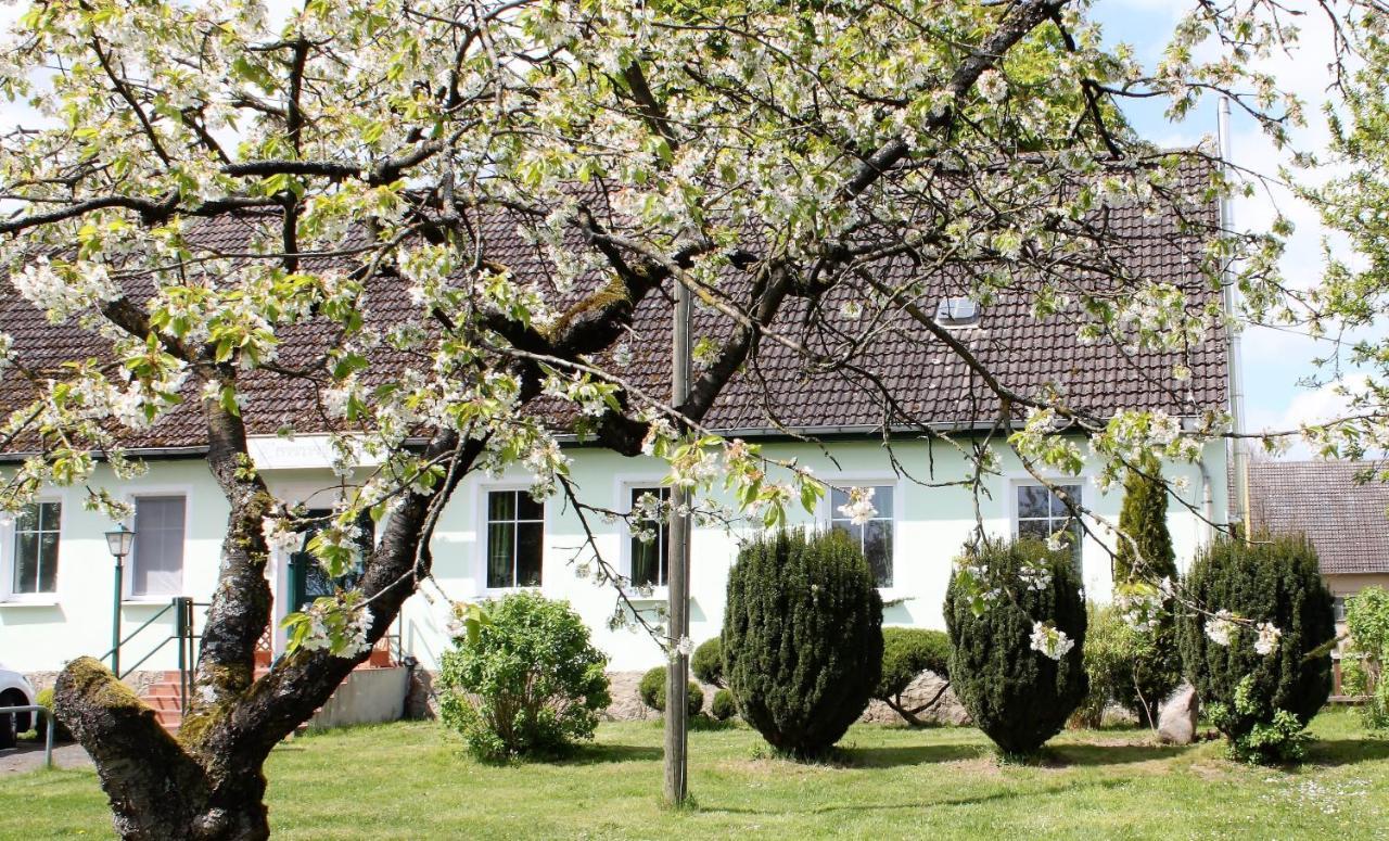 Pension Gestuet Lindenhof Templin Exteriér fotografie