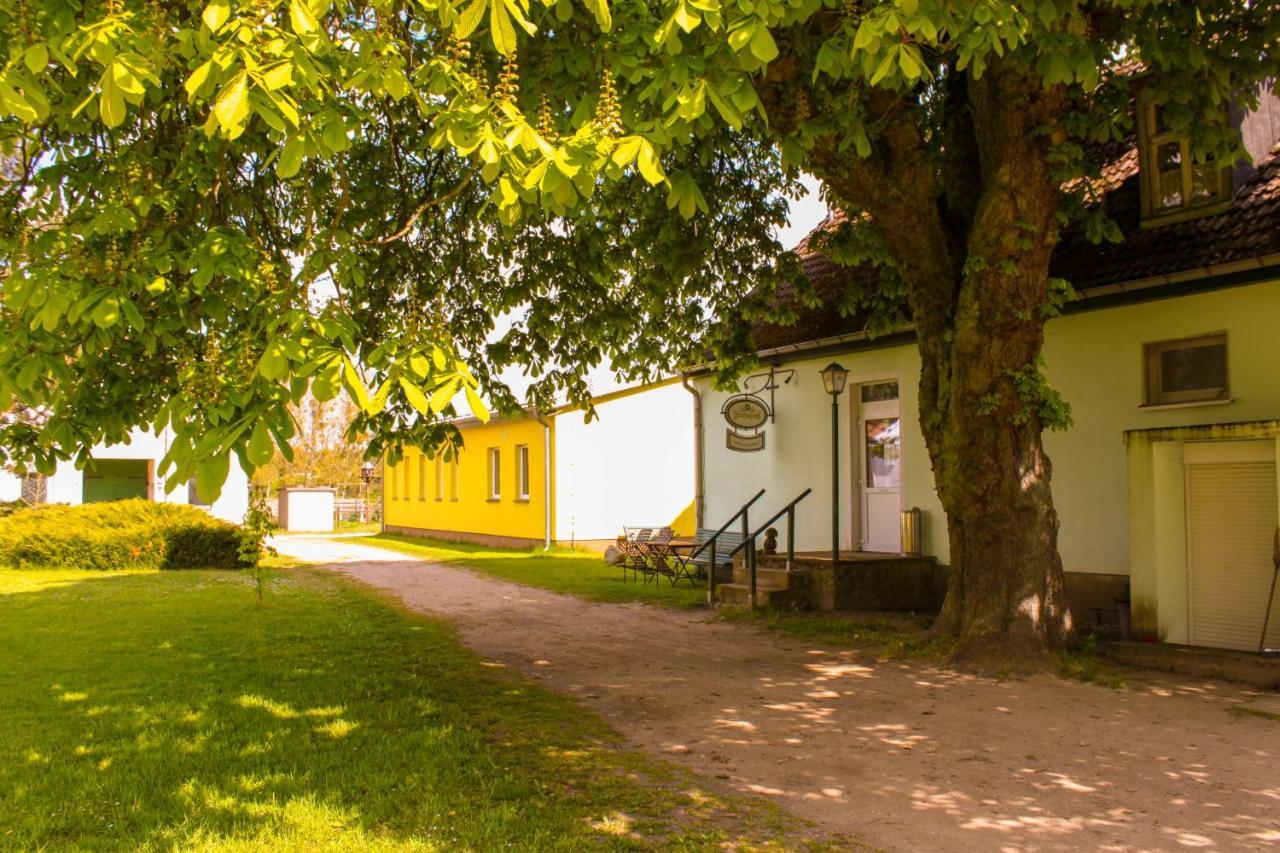 Pension Gestuet Lindenhof Templin Exteriér fotografie