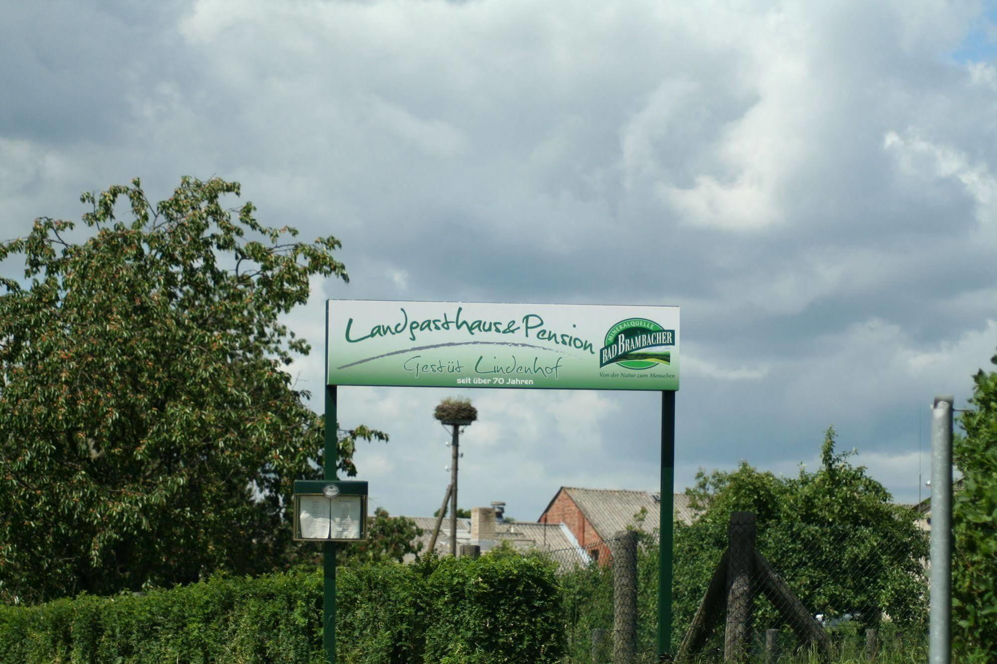 Pension Gestuet Lindenhof Templin Exteriér fotografie